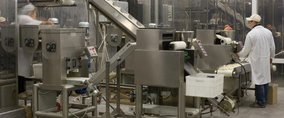 Automated production line in modern food factory. Ravioli production. People working.