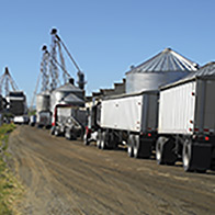 Transport/Bulk Hauling